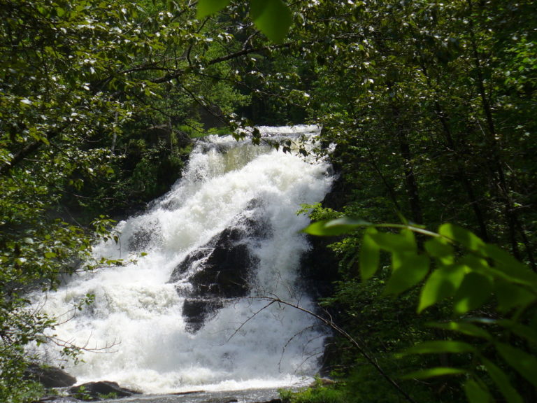 Baxter Park Waterfalls