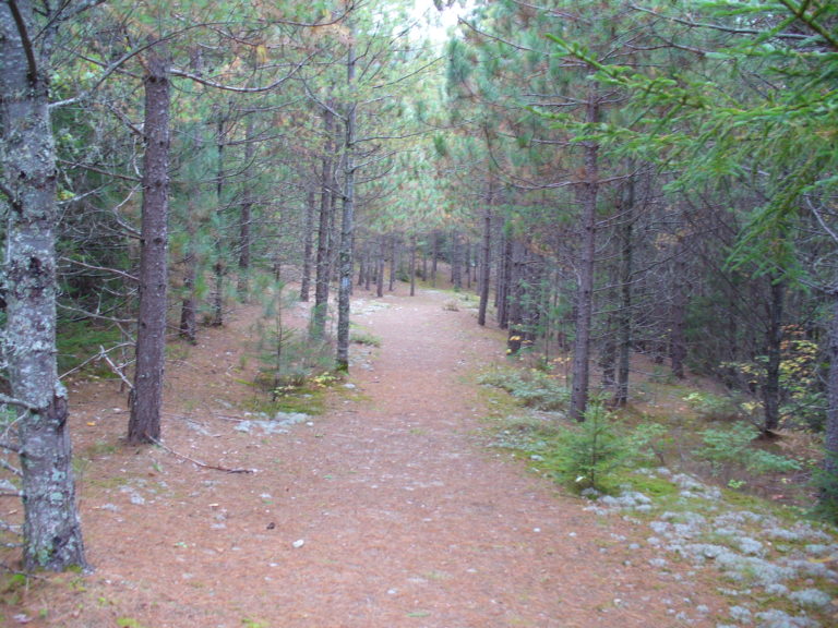 Abol Trail